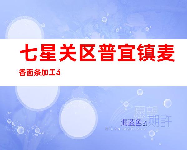 七星关区普宜镇麦香面条加工厂