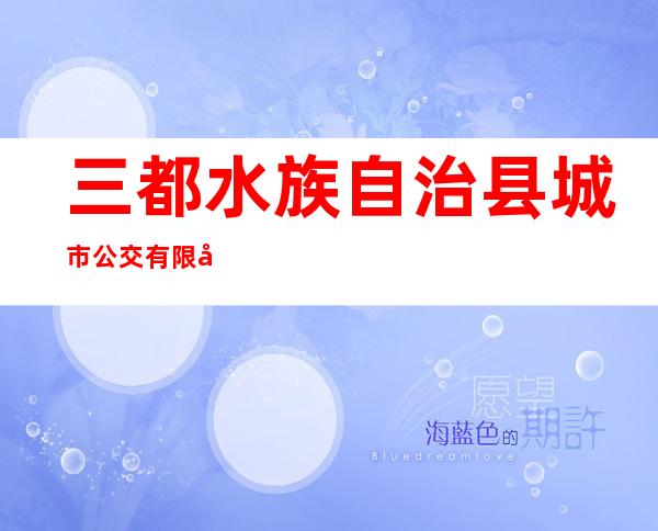 三都水族自治县城市公交有限公司