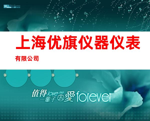 上海优旗仪器仪表有限公司
