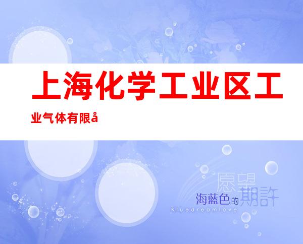 上海化学工业区工业气体有限公司