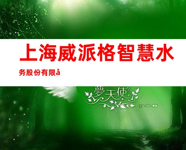 上海威派格智慧水务股份有限公司贵州分公司