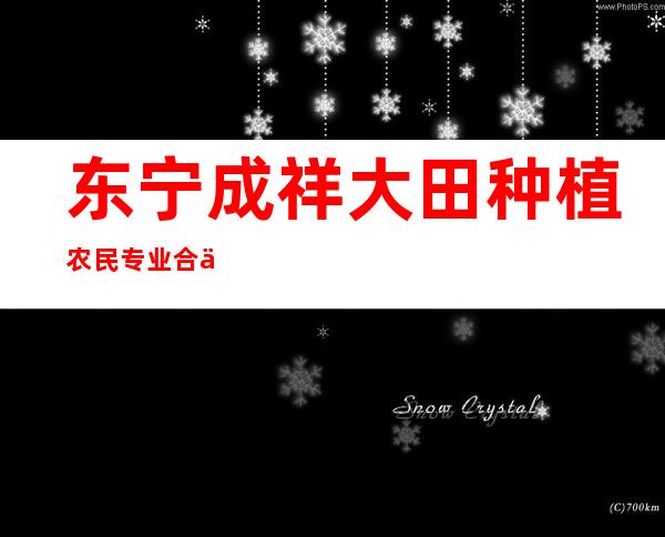 东宁成祥大田种植农民专业合作社