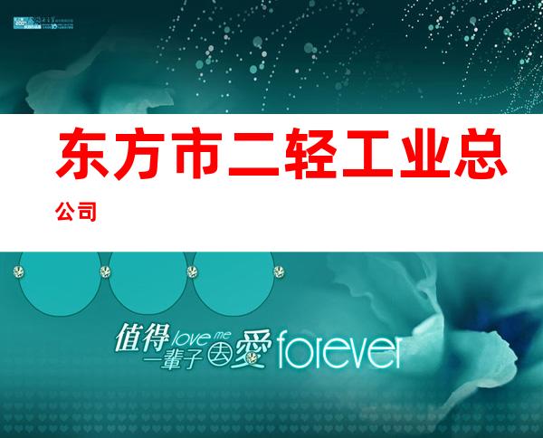 东方市二轻工业总公司