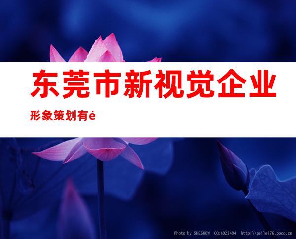 东莞市新视觉企业形象策划有限公司