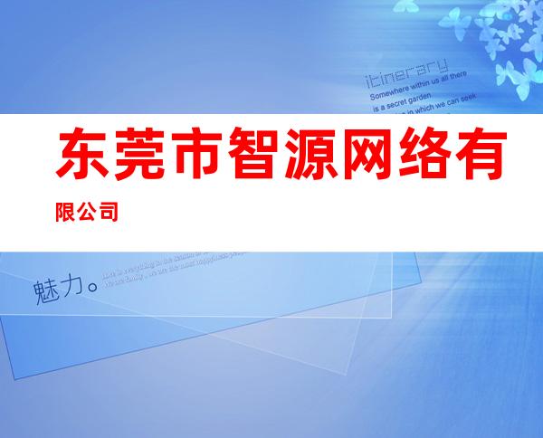 东莞市智源网络有限公司