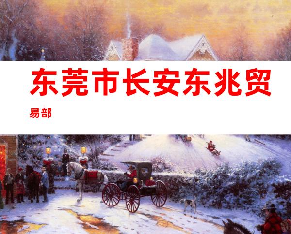 东莞市长安东兆贸易部