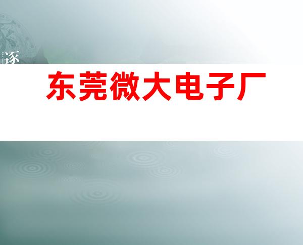东莞微大电子厂