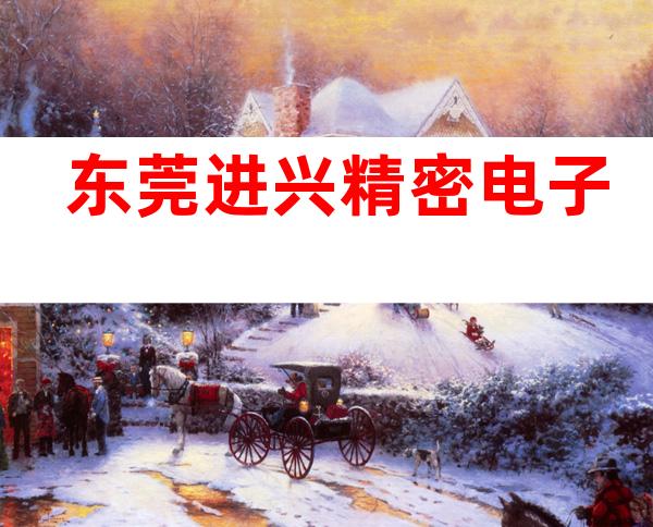 东莞进兴精密电子