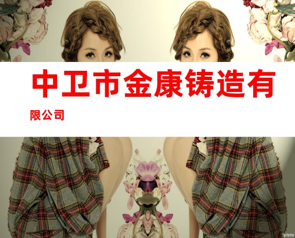 中卫市金康铸造有限公司