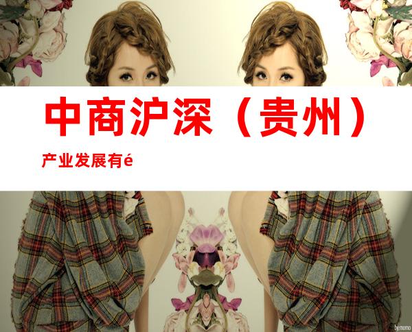 中商沪深(贵州)产业发展有限公司