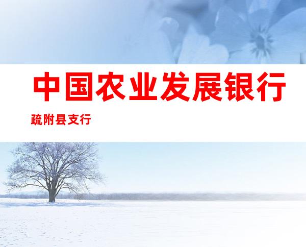 中国农业发展银行疏附县支行