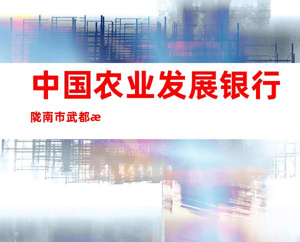 中国农业发展银行陇南市武都支行