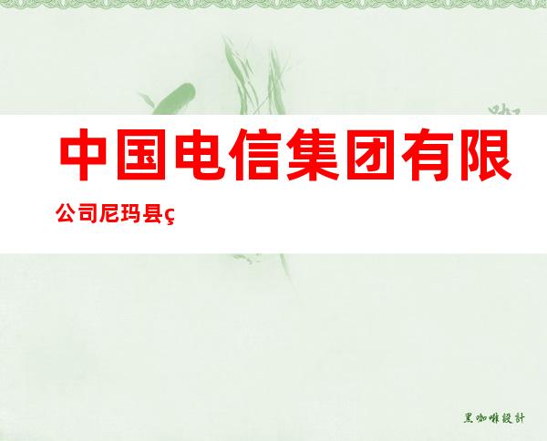 中国电信集团有限公司尼玛县电信局
