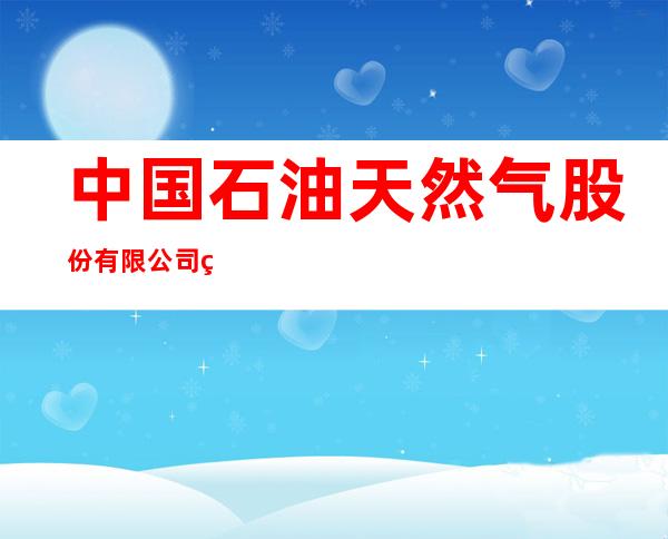 中国石油天然气股份有限公司玉树销售分公司赛马场加油站