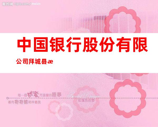 中国银行股份有限公司拜城县支行