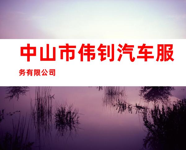 中山市伟钊汽车服务有限公司
