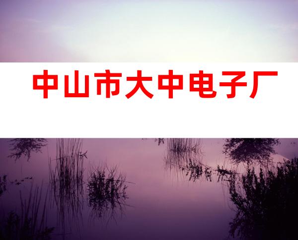 中山市大中电子厂