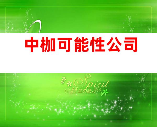 中枷可能性公司