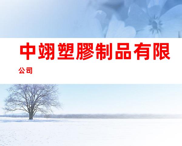 中翊塑膠制品有限公司