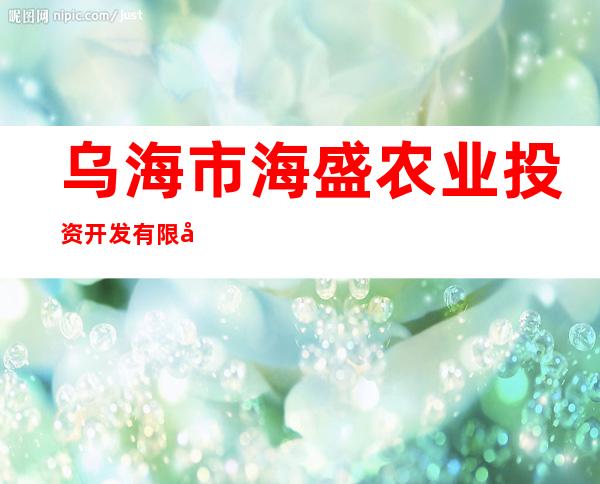 乌海市海盛农业投资开发有限公司