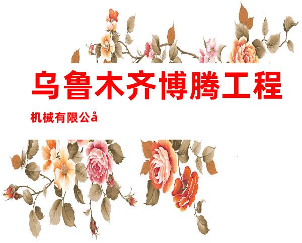 乌鲁木齐博腾工程机械有限公司