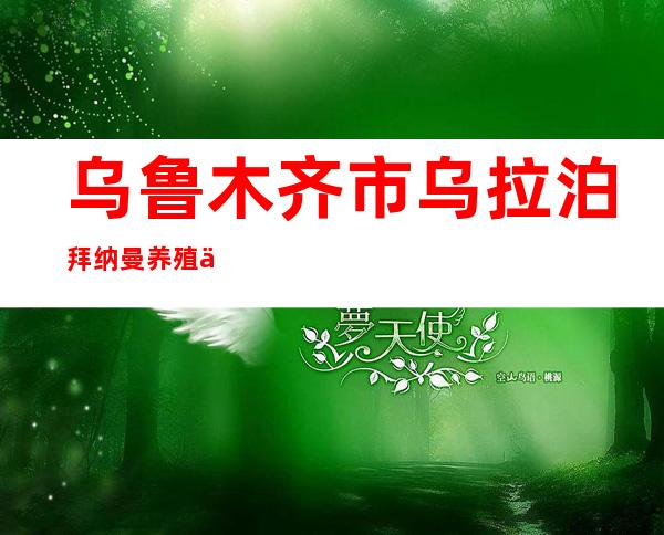 乌鲁木齐市乌拉泊拜纳曼养殖专业合作社