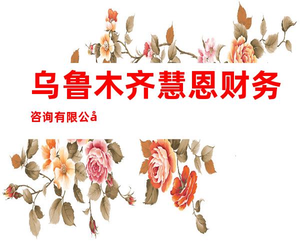 乌鲁木齐慧恩财务咨询有限公司