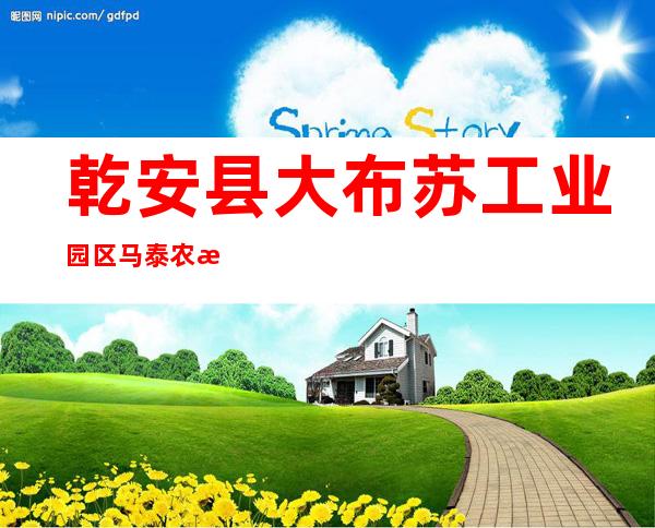 乾安县大布苏工业园区马泰农机农民专业合作社