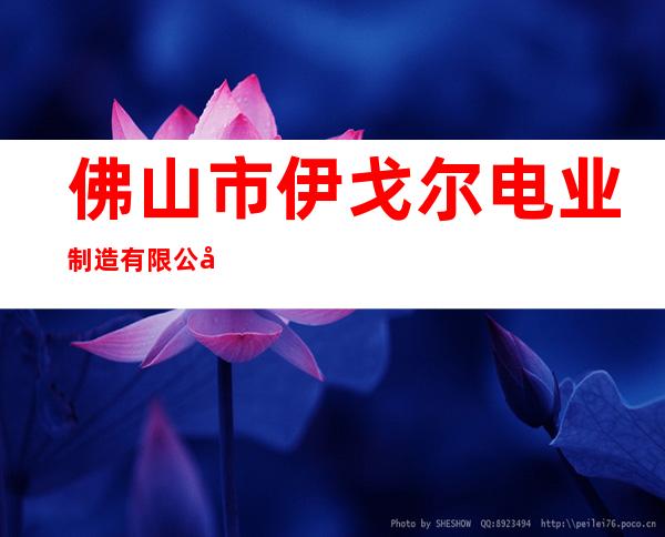 佛山市伊戈尔电业制造有限公司