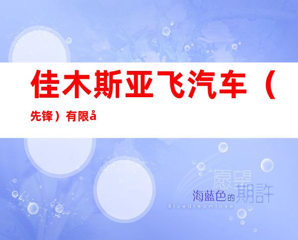 佳木斯亚飞汽车(先锋)有限公司