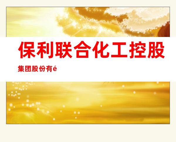保利联合化工控股集团股份有限公司