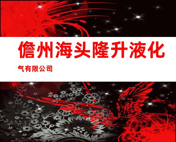 儋州海头隆升液化气有限公司