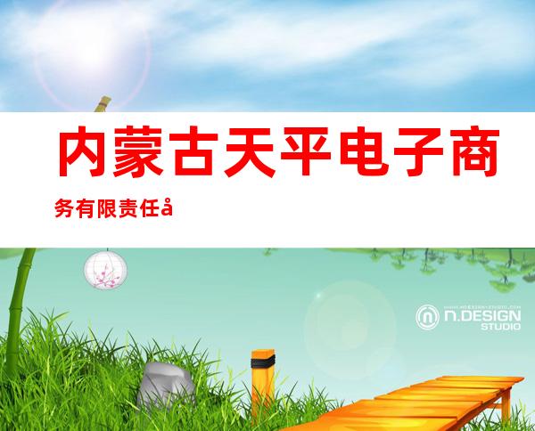 内蒙古天平电子商务有限责任公司