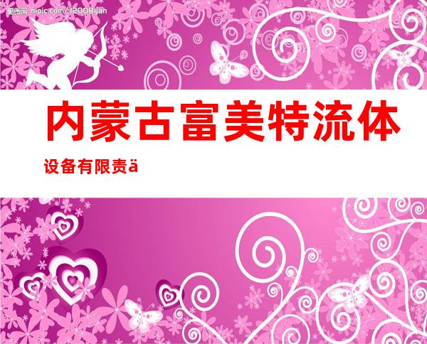 内蒙古富美特流体设备有限责任公司
