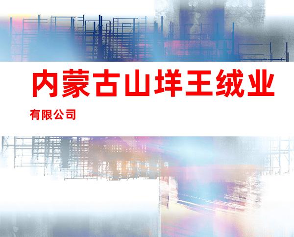 内蒙古山垟王绒业有限公司