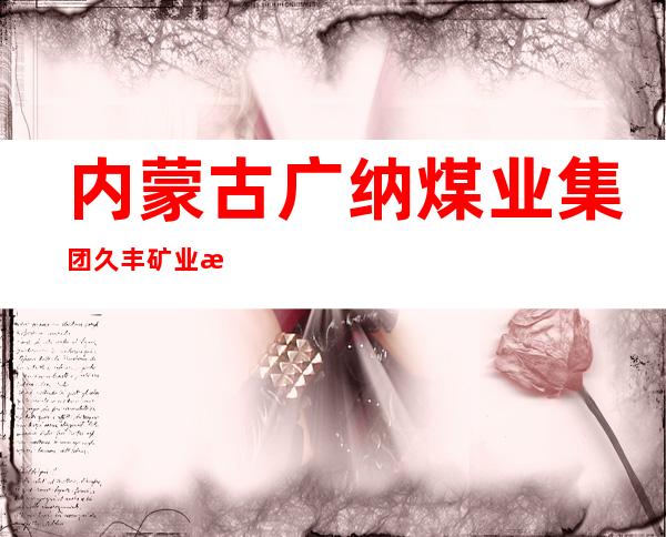 内蒙古广纳煤业集团久丰矿业有限责任公司
