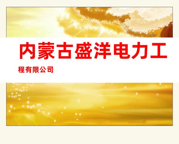 内蒙古盛洋电力工程有限公司
