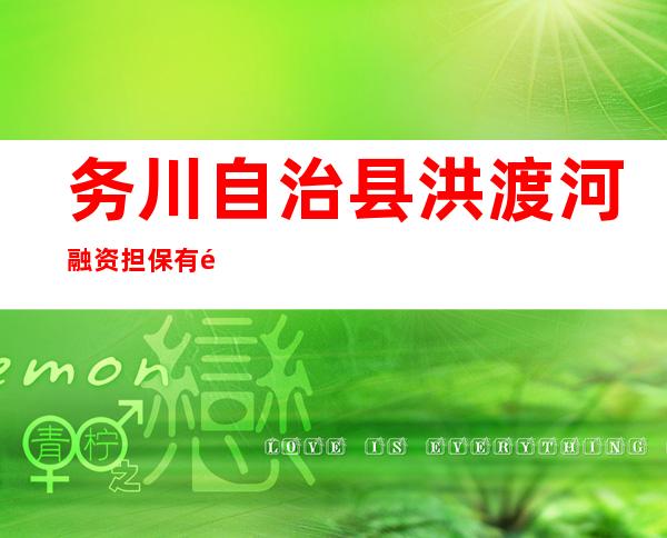 务川自治县洪渡河融资担保有限责任公司