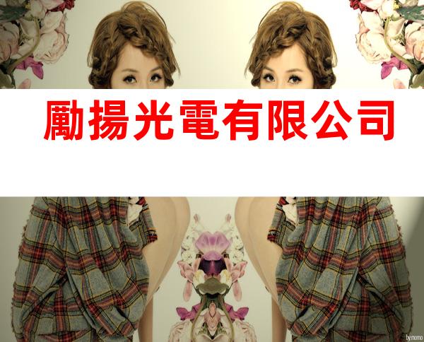 勵揚光電有限公司