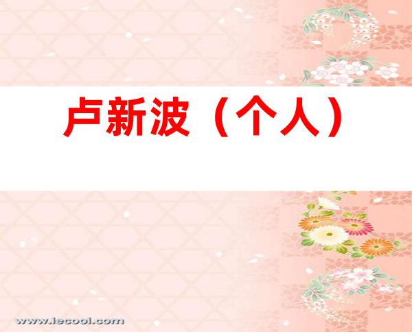 卢新波（个人）