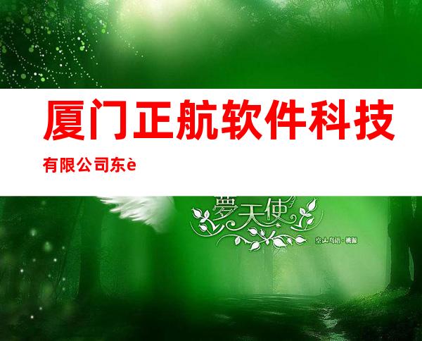 厦门正航软件科技有限公司东莞分公司