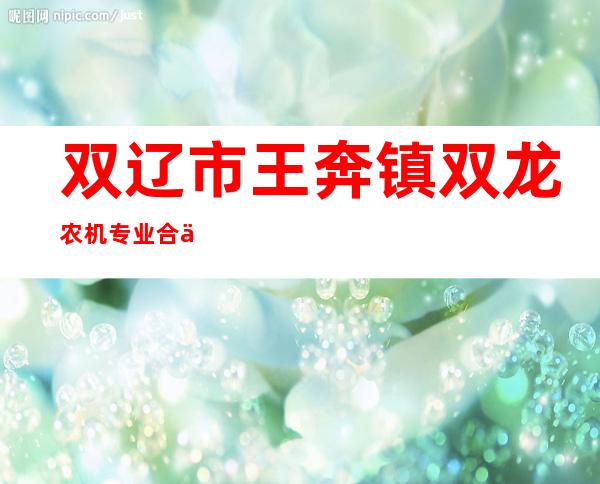 双辽市王奔镇双龙农机专业合作社