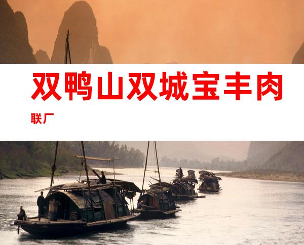 双鸭山双城宝丰肉联厂