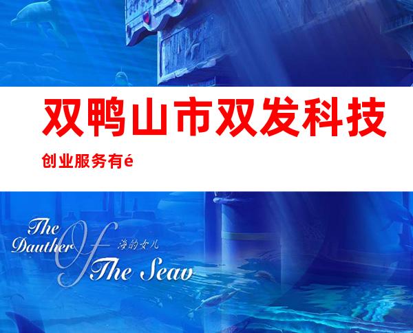 双鸭山市双发科技创业服务有限公司