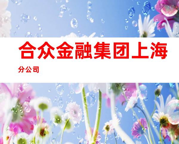 合众金融集团上海分公司
