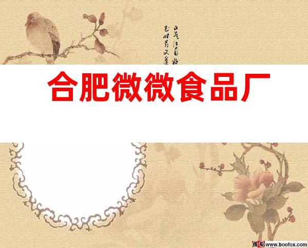 合肥微微食品厂