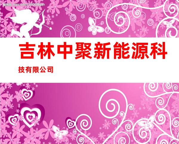 吉林中聚新能源科技有限公司