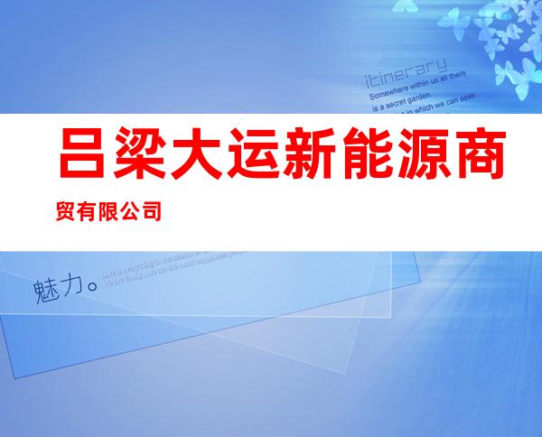 吕梁大运新能源商贸有限公司