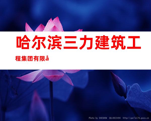 哈尔滨三力建筑工程集团有限公司