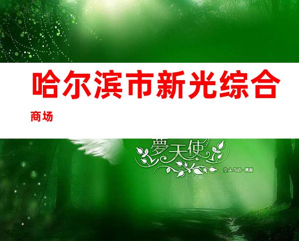 哈尔滨市新光综合商场
